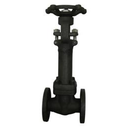 鍛鋼波紋管閘閥class 150-600lb